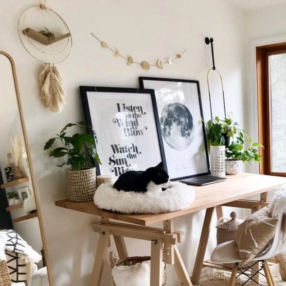 Soft Sunlight Sanctuary