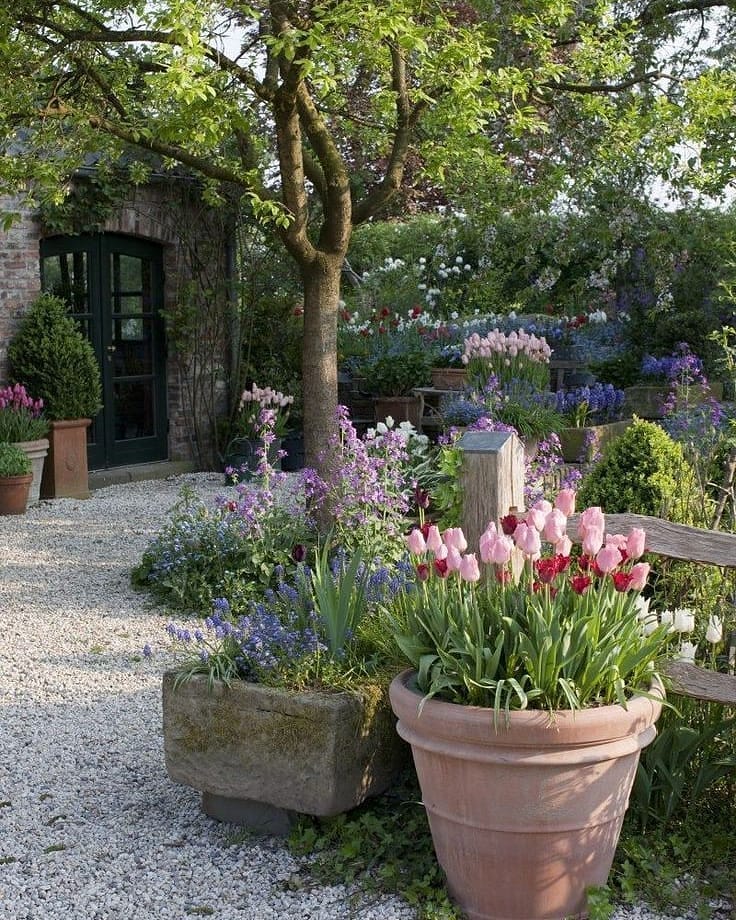 A charming small backyard features gravel paths, large potted tulips, vibrant flowers, a wooden bench, and a shady tree—perfect landscaping ideas for adding beauty and character in front of a brick building with a dark door.