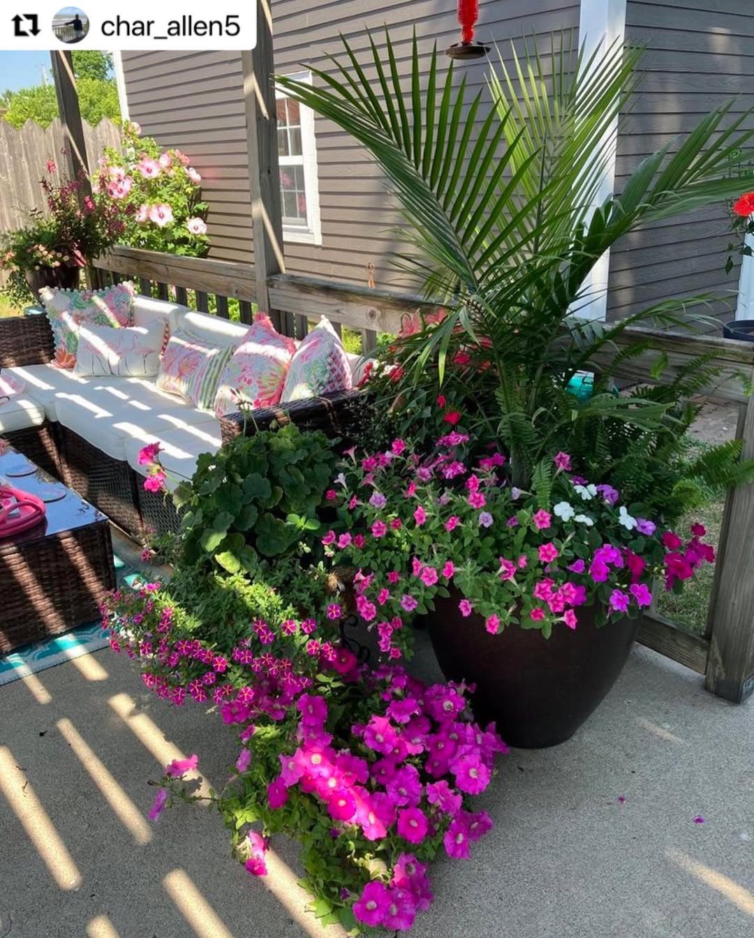 Outdoor patio with a cushioned bench, colorful pillows, and large potted plants featuring pink, purple, and green foliage—perfect for inspired patio decoration. Wooden fence and house exterior visible in the background.