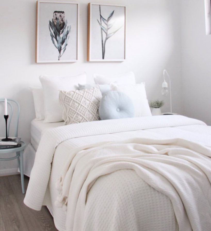 Soft Botanical Calm