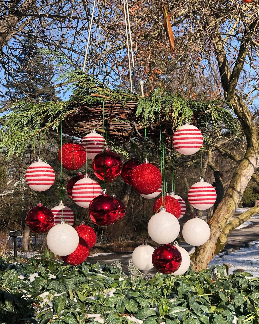 Candy Cane Pop