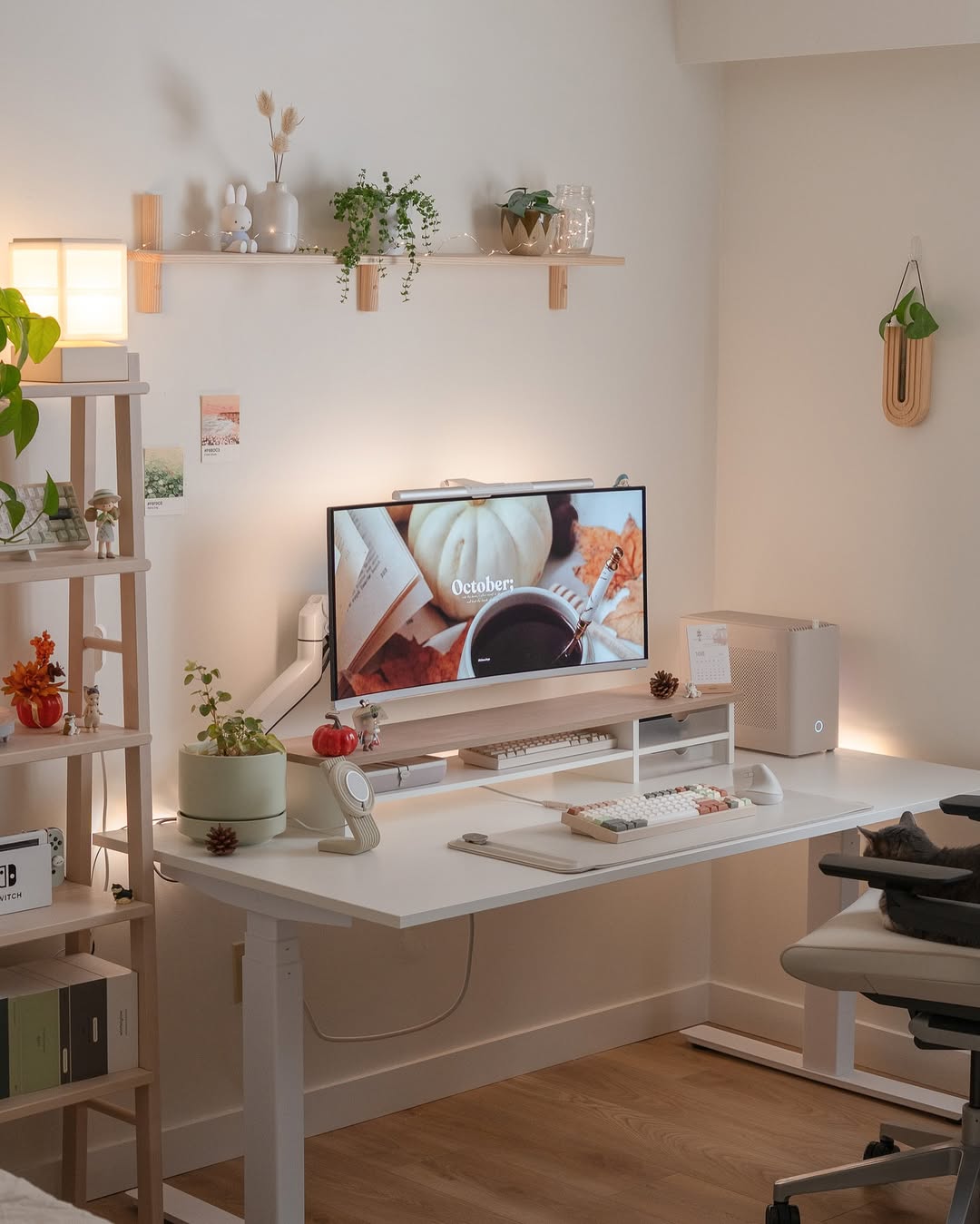 Cozy Curated Corner