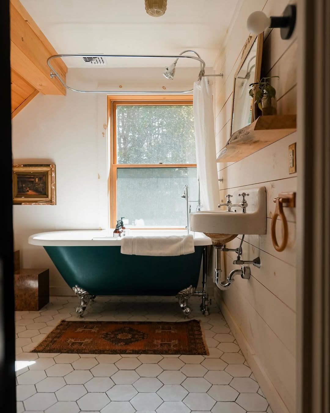 Cabin Cozy & Evergreen