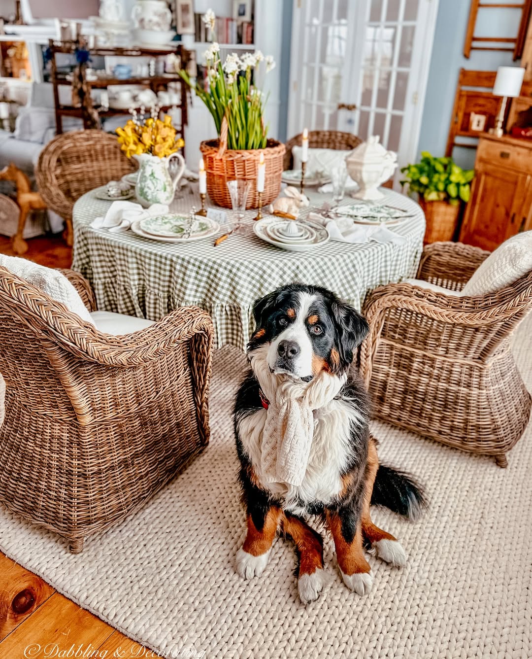 Dining with Daffodils
