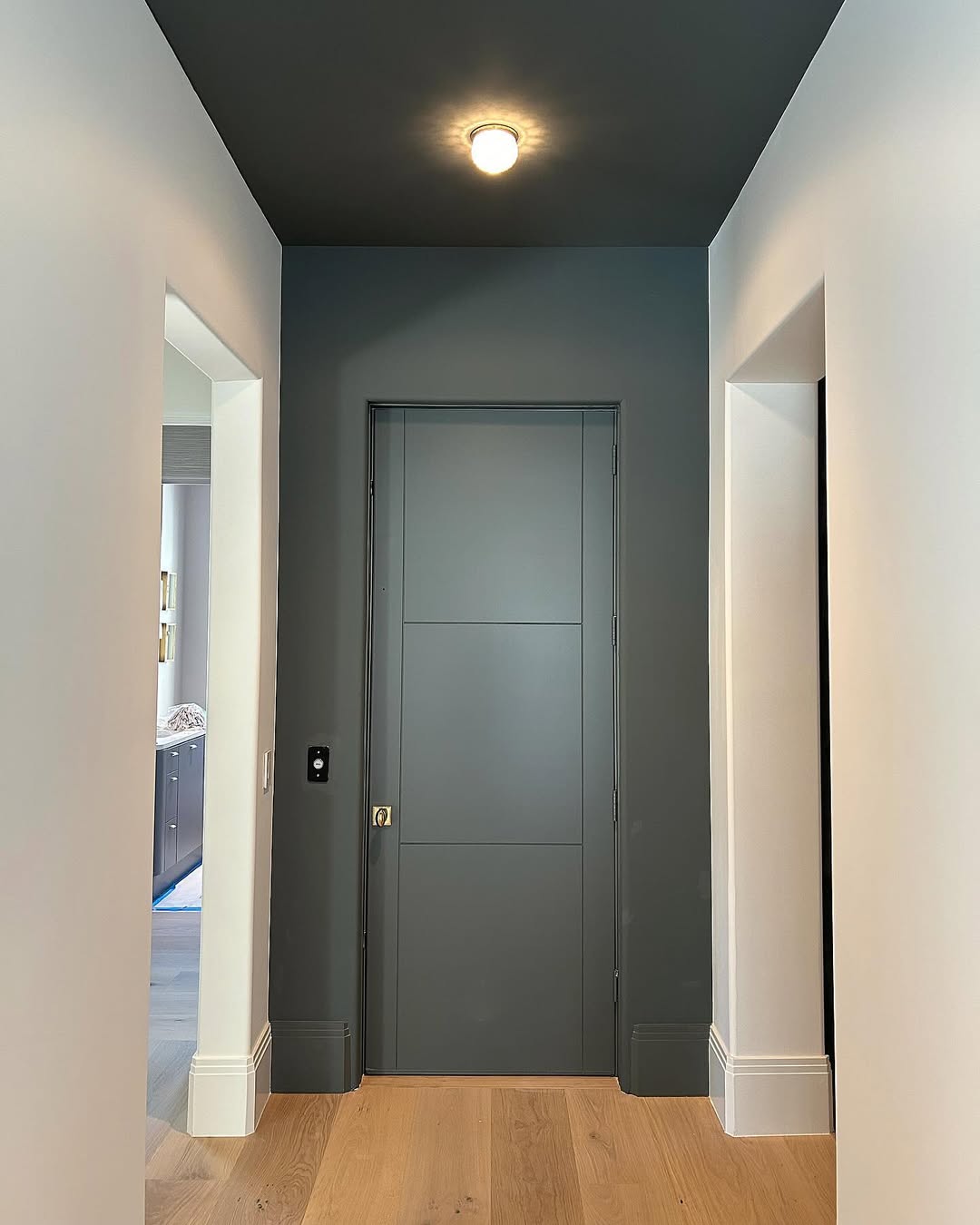 Charcoal Interior Door