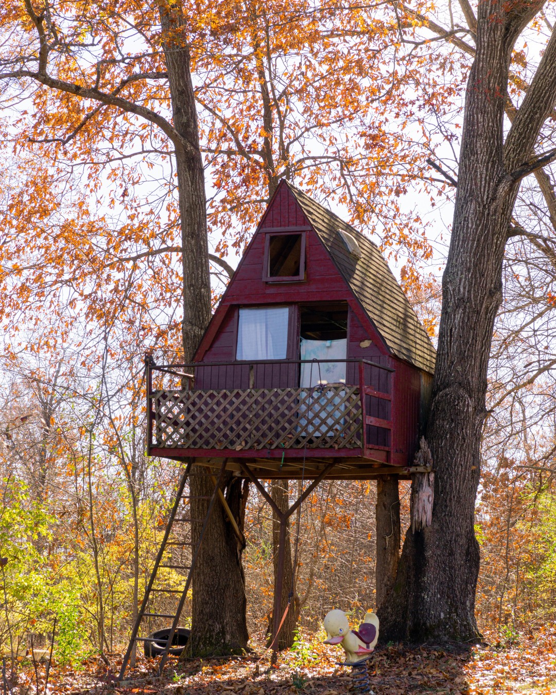 Red A-Frame Adventure