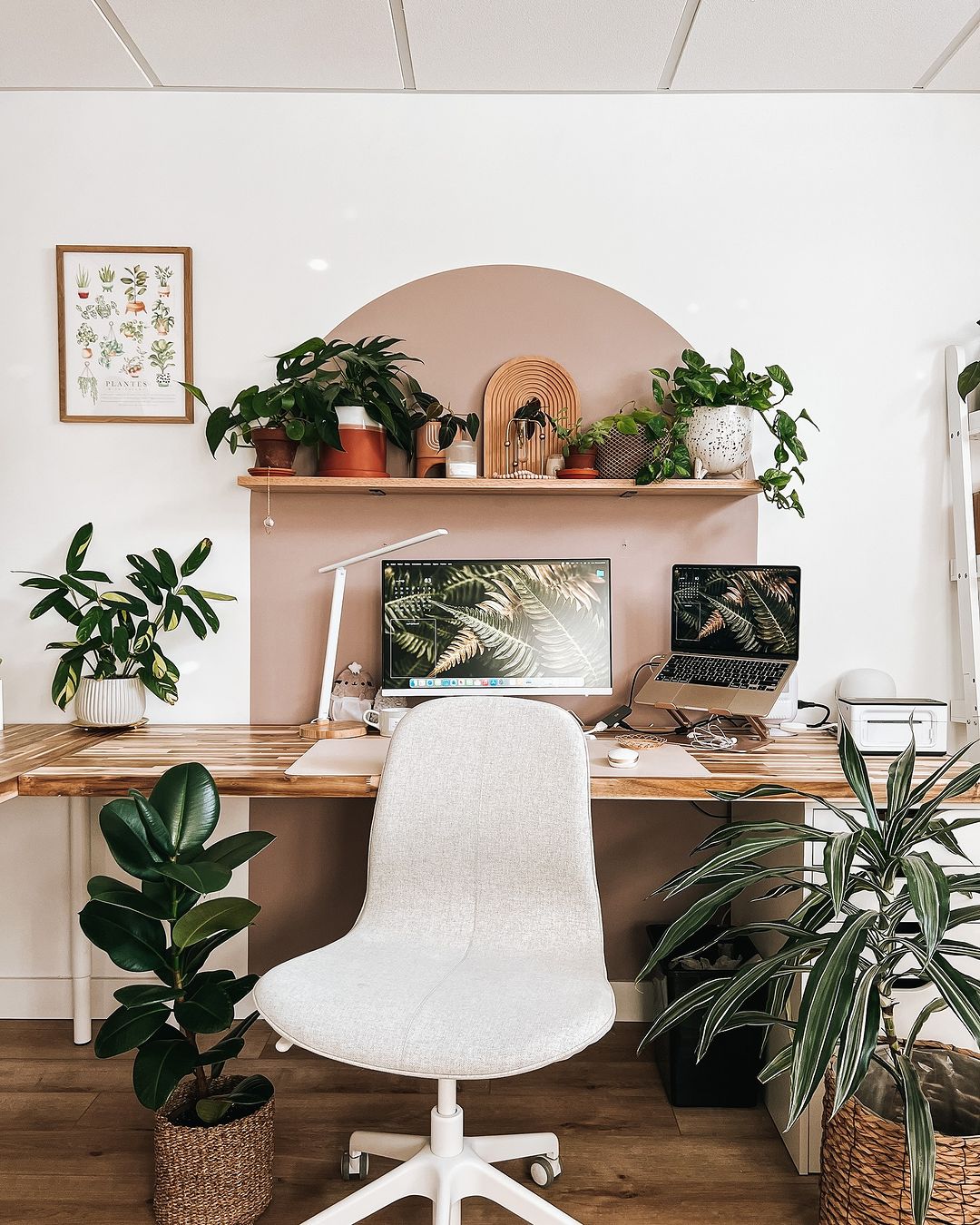Soft Curves + Green Things