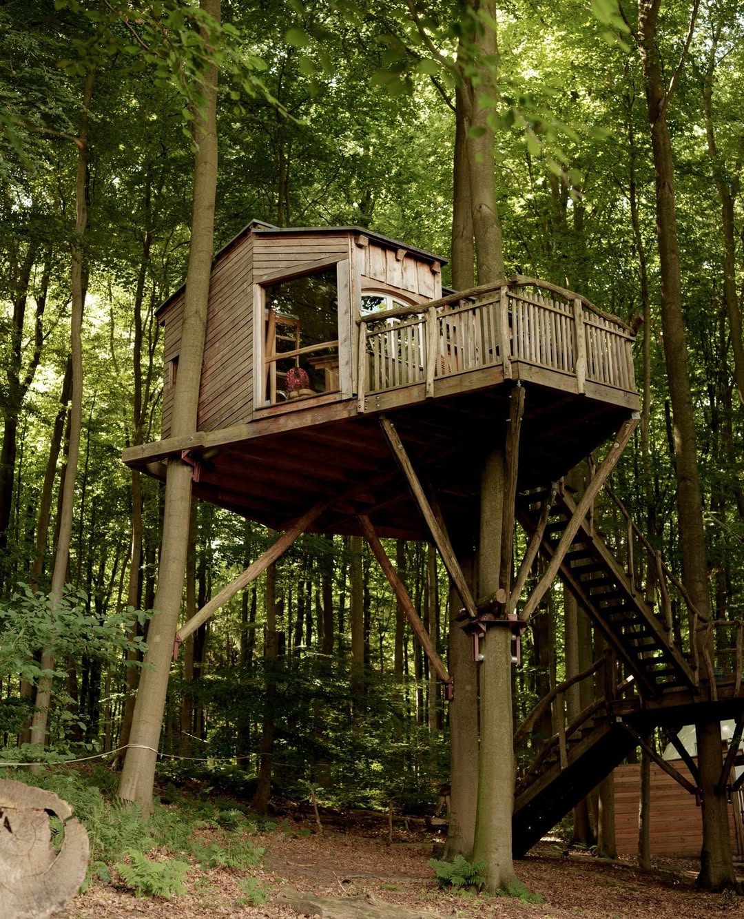 Forest Canopy Hotel Escape
