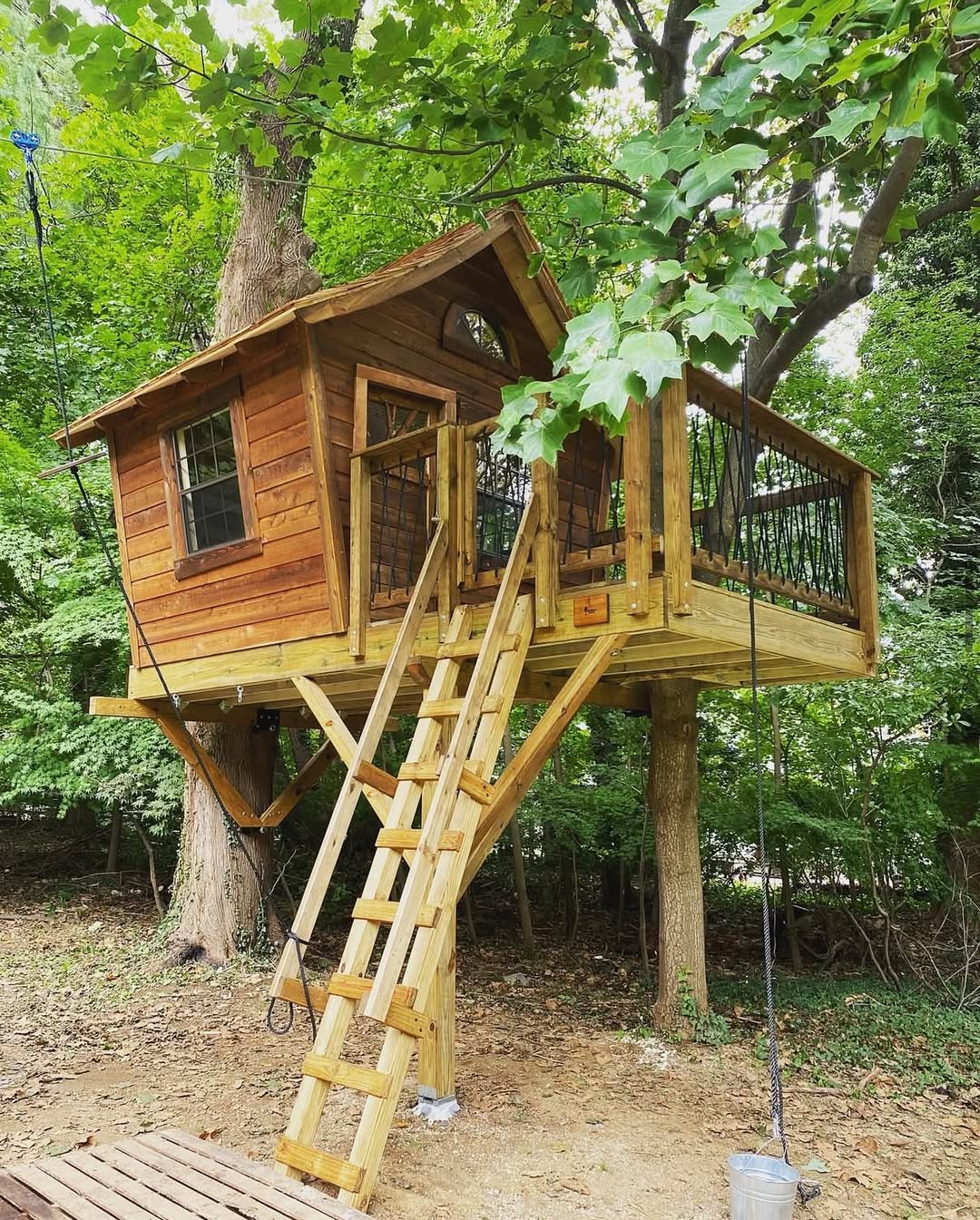 Forest Porch Dream