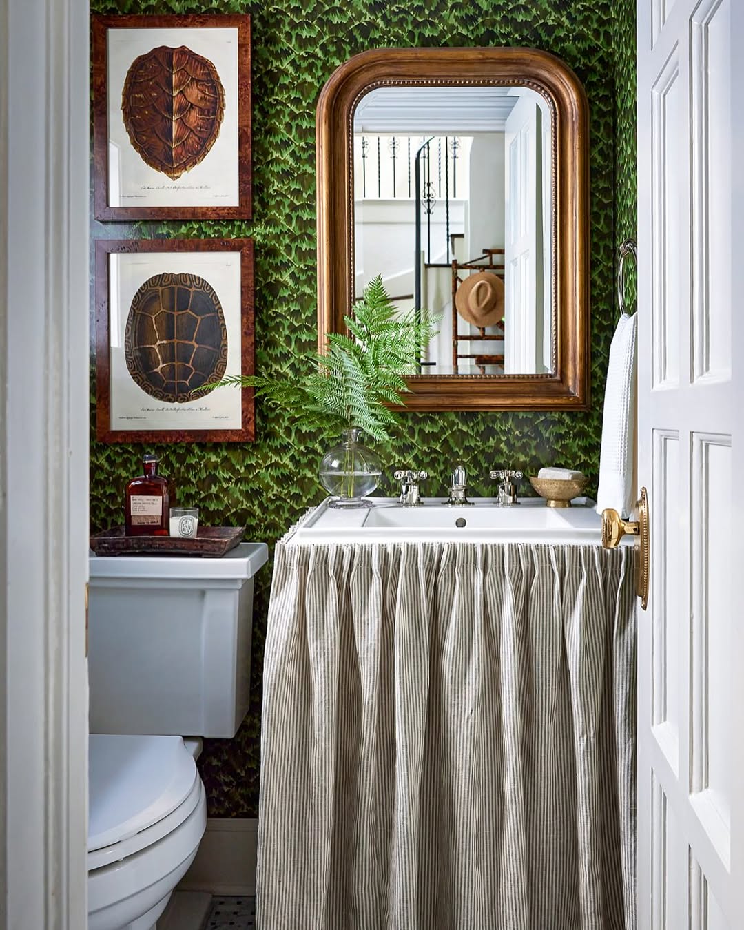 Small bathroom with green leafy wallpaper, framed turtle shell prints, a mirror over a skirted sink, and a fern in a glass vase—an inspiring example of stylish powder rooms that delivers wow-factor decor in every detail.