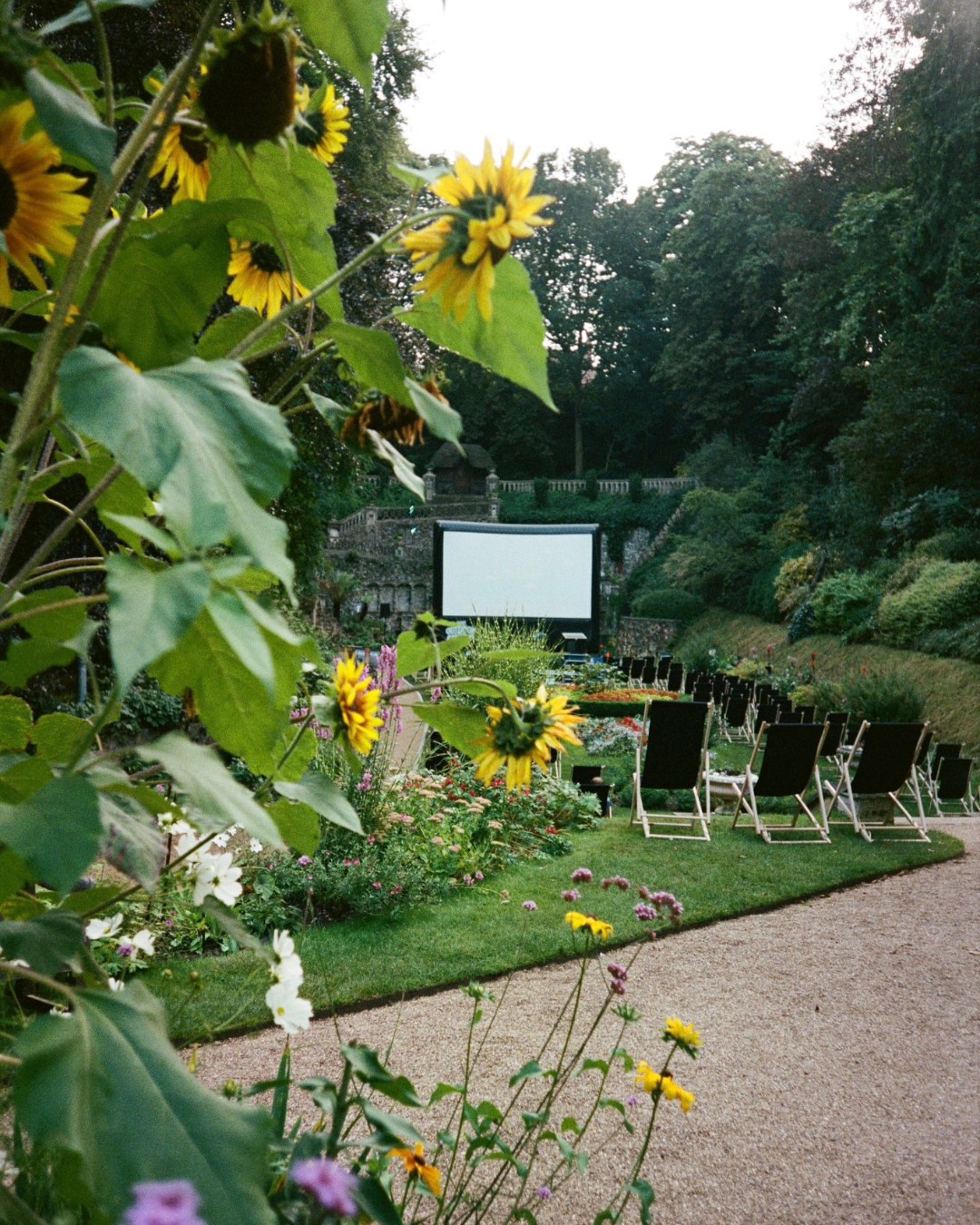 Rows of empty deck chairs face an outdoor movie screen, creating a charming backyard movie experience in a garden surrounded by flowers and greenery.