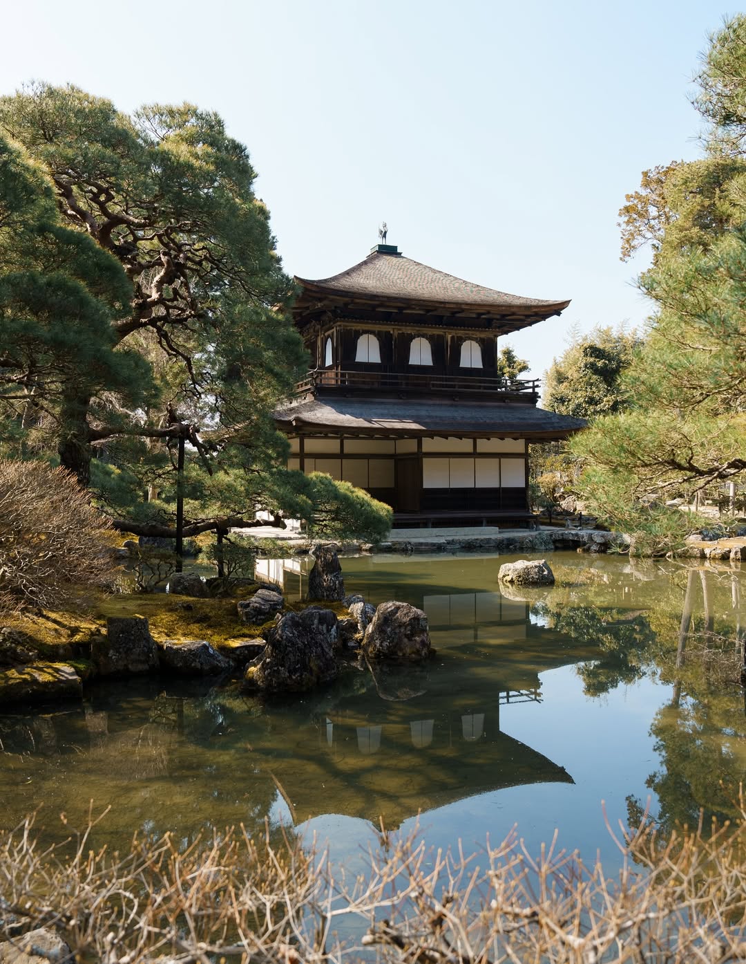 A traditional Japanese building stands beside a pond in a serene Japanese garden, surrounded by pine trees and rocks, reflecting in the calm water under a clear sky—an inspiring scene for Japanese garden ideas and garden design enthusiasts.