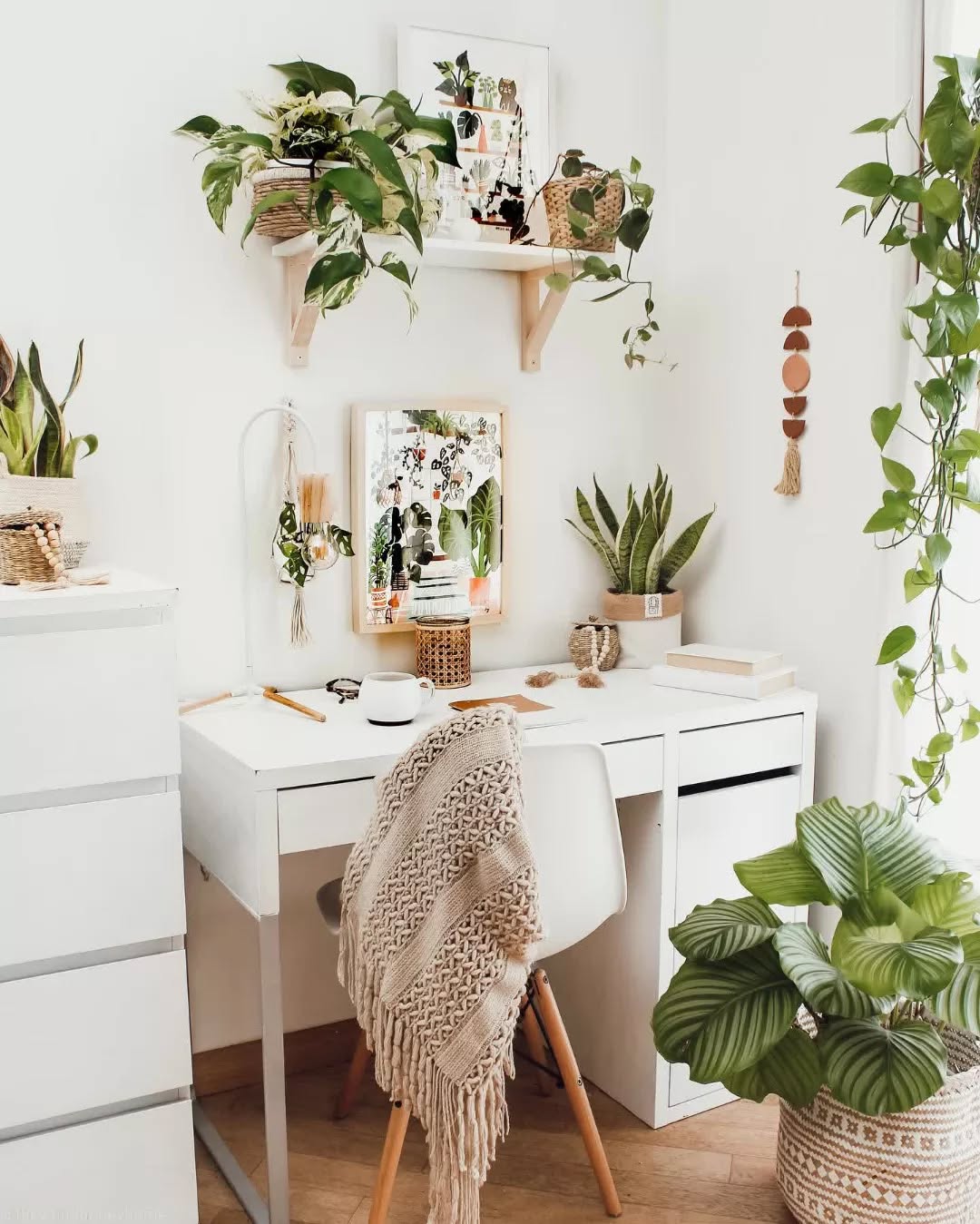 Fresh Green Corners