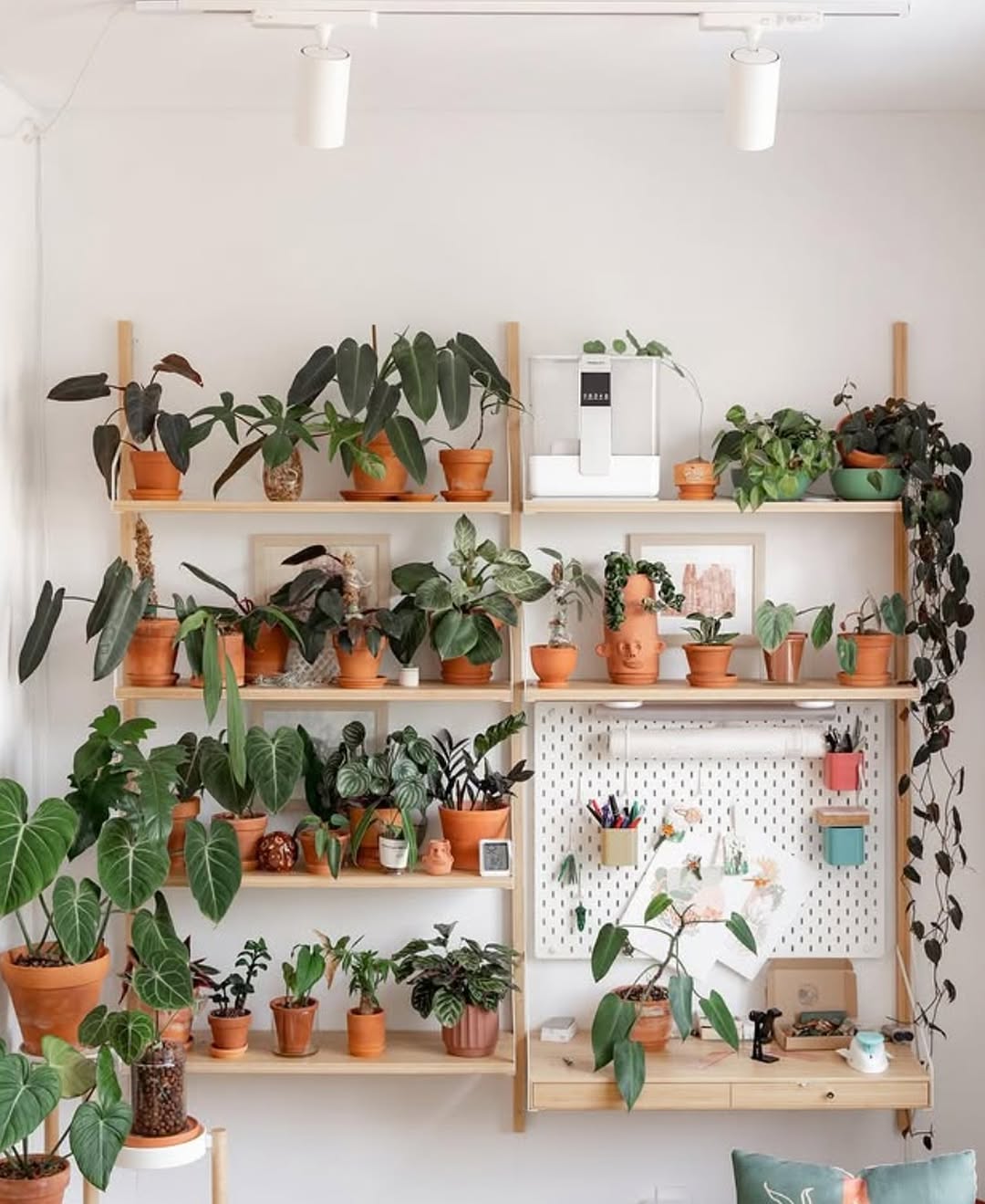 Organized Greenhouse Aesthetic
