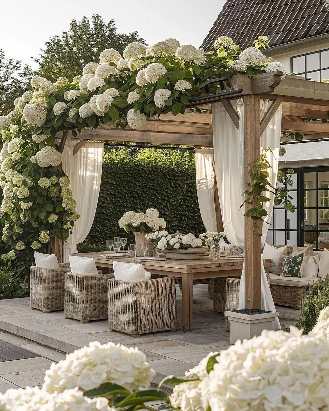 Hydrangea Heaven