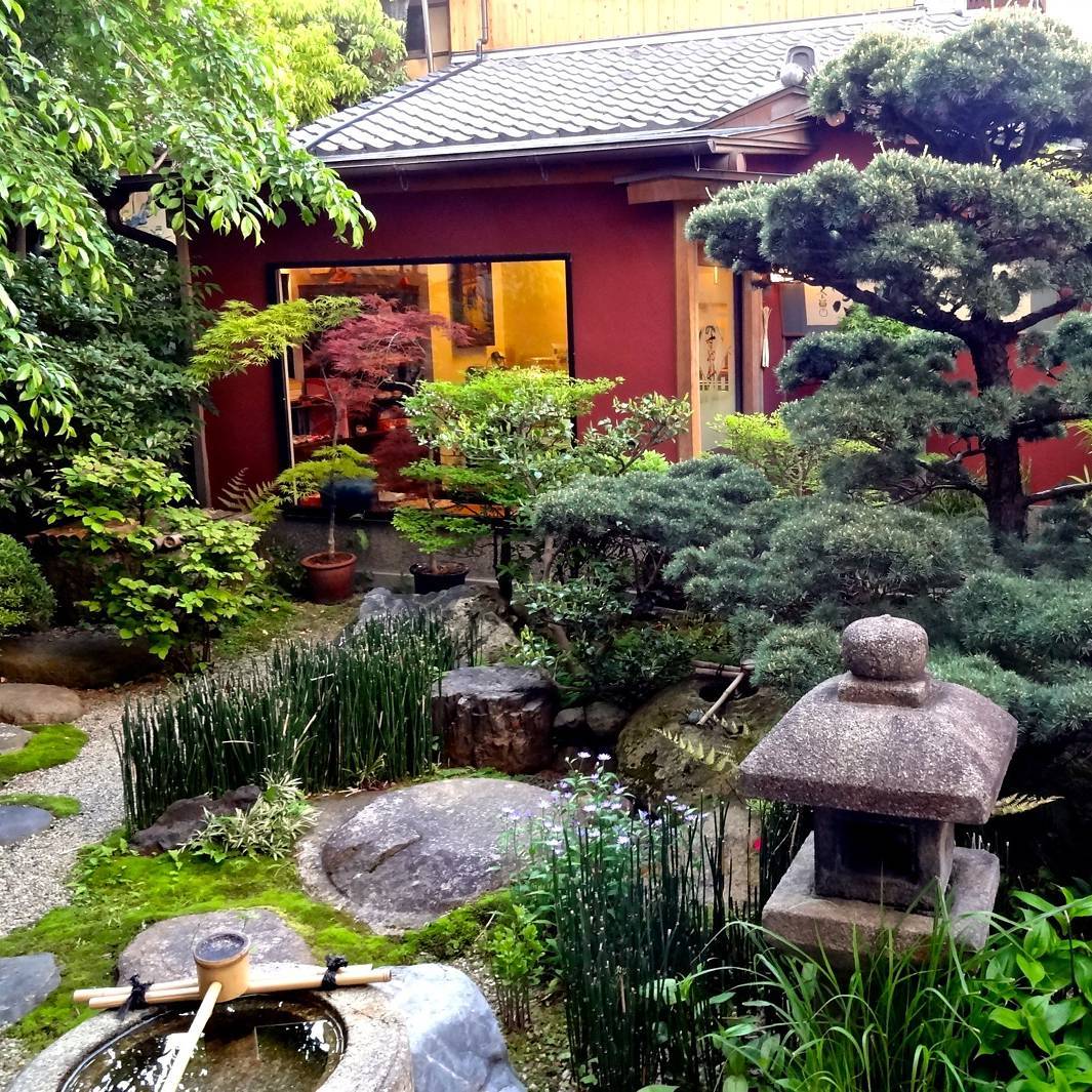 Tranquil Koi Corner