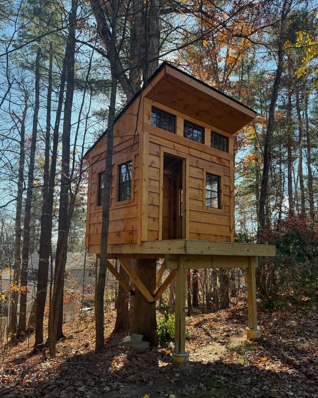 Modern Woodland Cabin