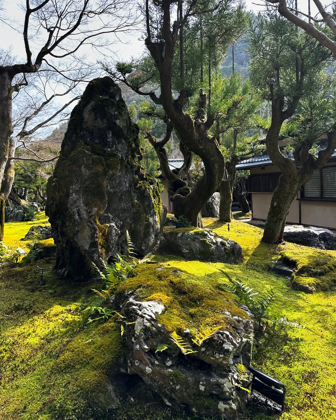 Large moss-covered rocks and twisted trees create tranquil Japanese garden ideas, with a building partially visible in the background.