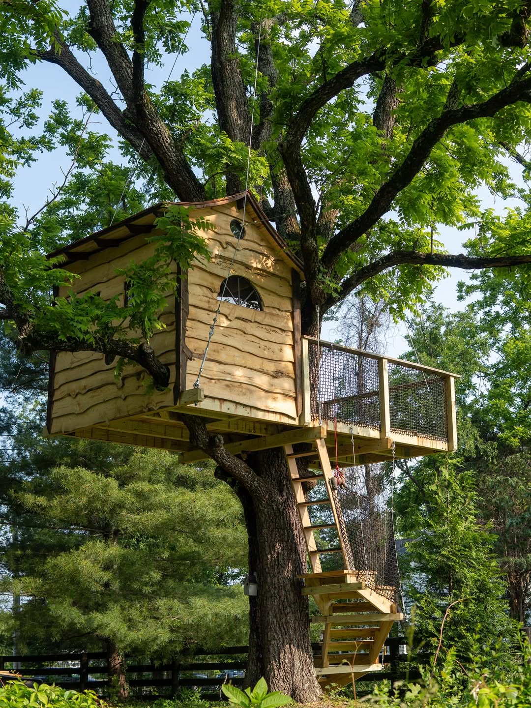 Natural Timber Escape