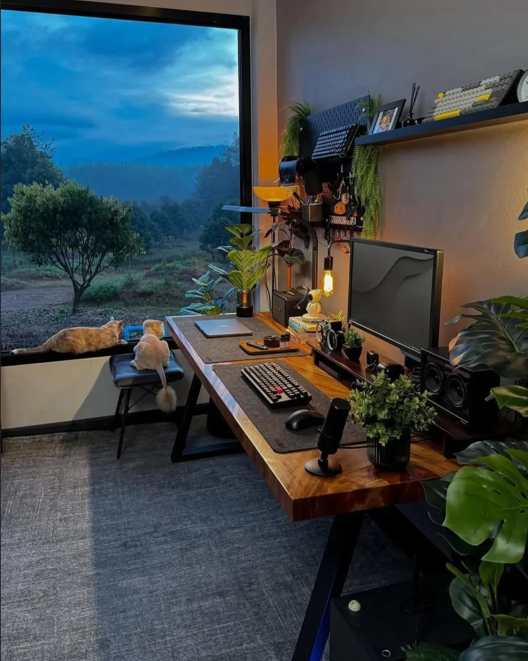 A modern home office with a large monitor, keyboard, plants, and speakers on a wooden desk showcases gaming room setup inspiration; a dog lies by a large window with a scenic outdoor view.