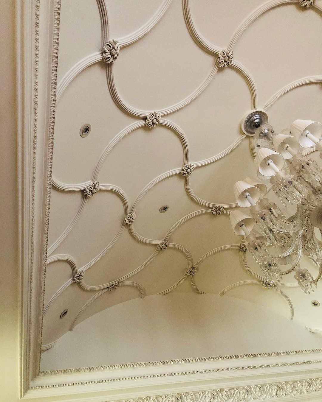 Parisian Lacework