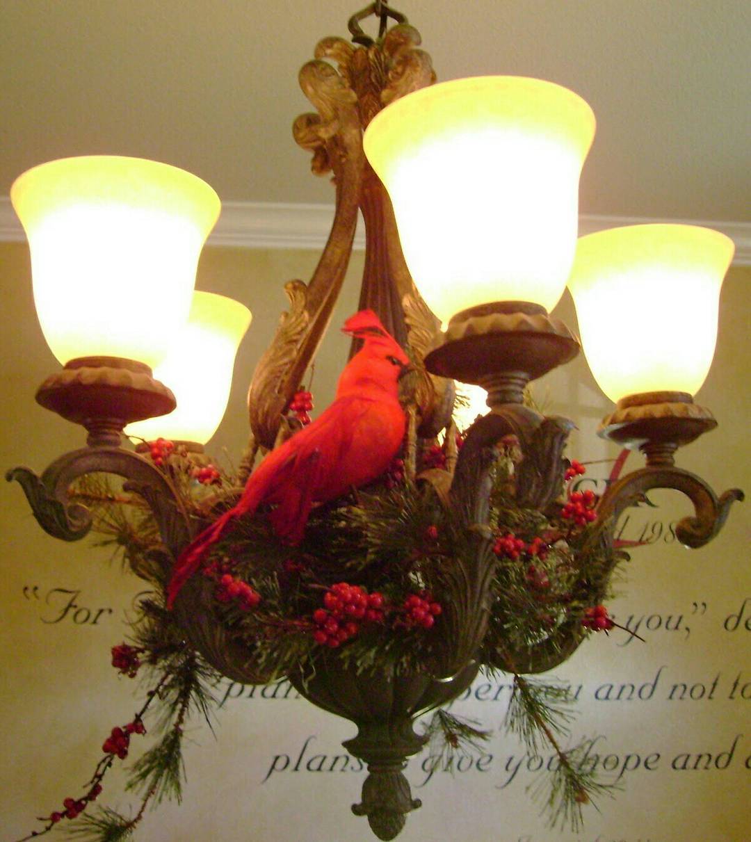 Red Cardinal Magic