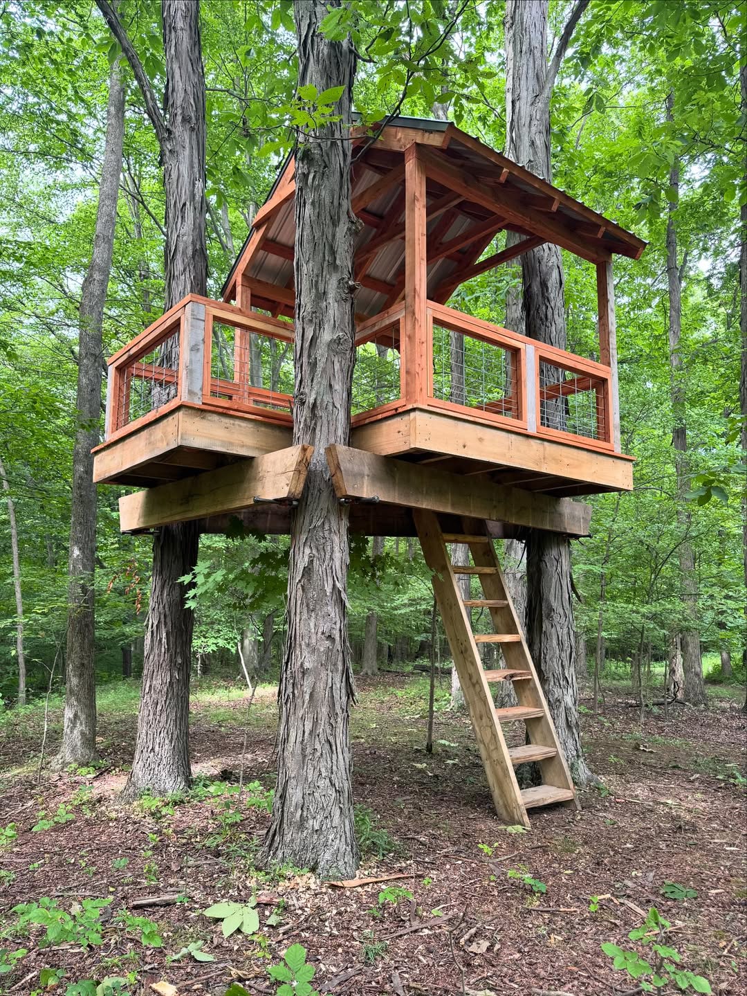 Rustic Forest Hideout