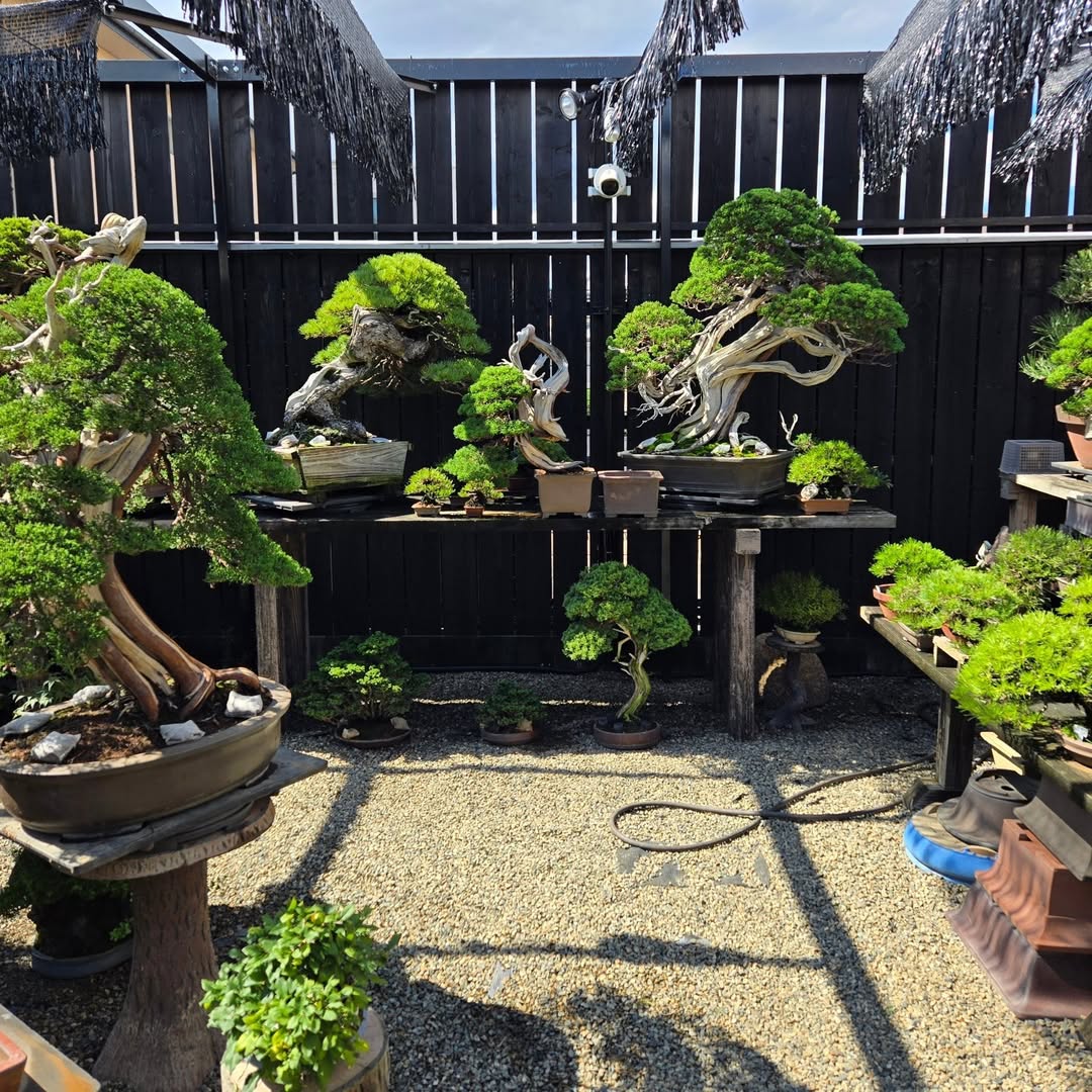 Sculpted Spirits
