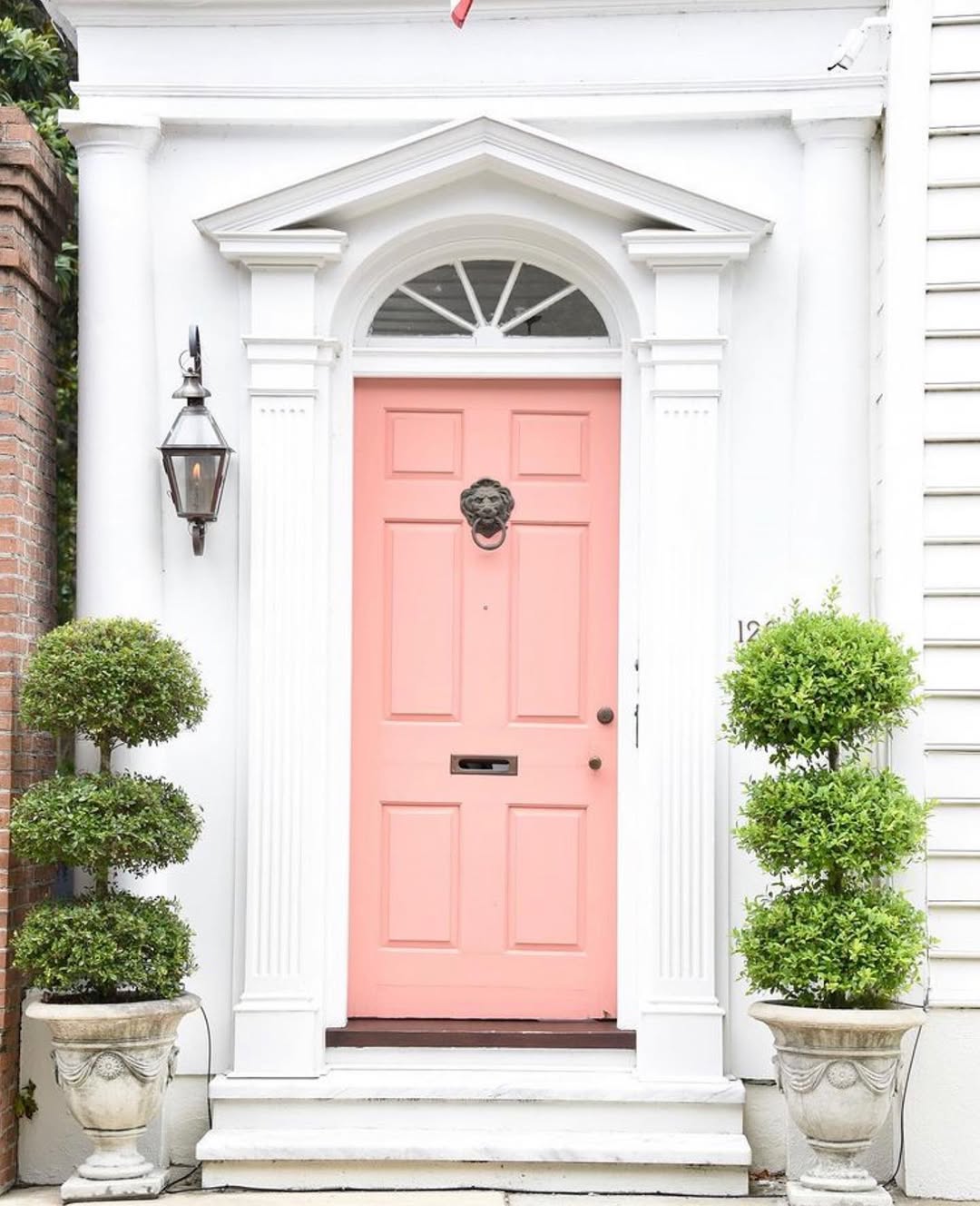 Soft Coral Grandeur