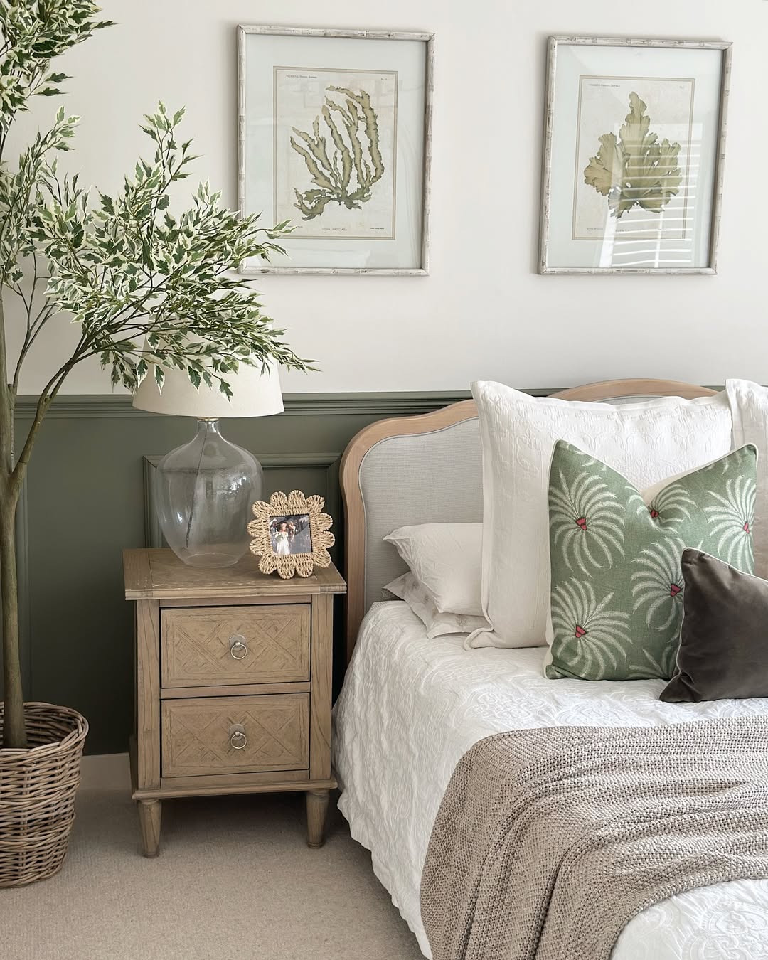 Soft Organic Calm