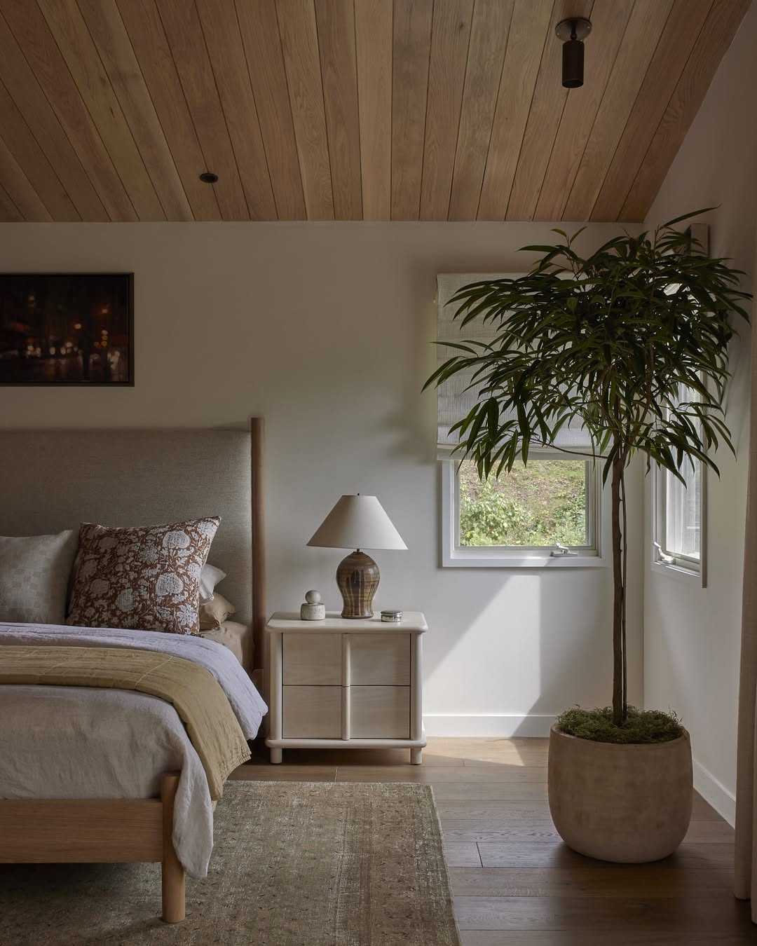 Soft Wood Serenity